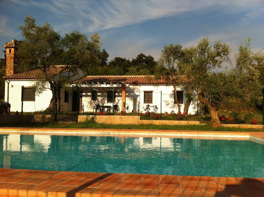 Three-Bedroom House,129161064:JPEG